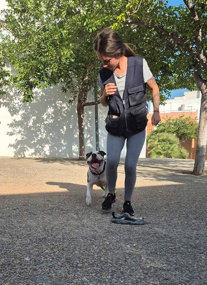 SBT Adiestramiento mujer con mascota