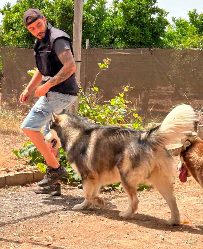 SBT Adiestramiento entrenador con mascotas